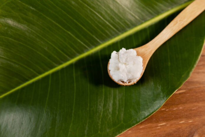 shea butter for hair